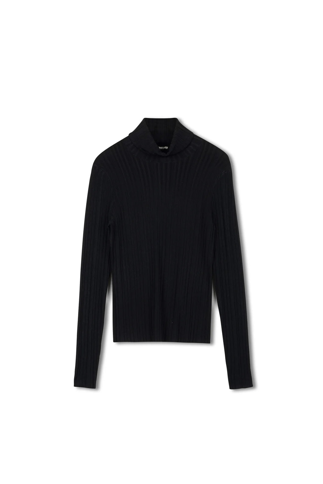 TG BASIC TURTLENECK