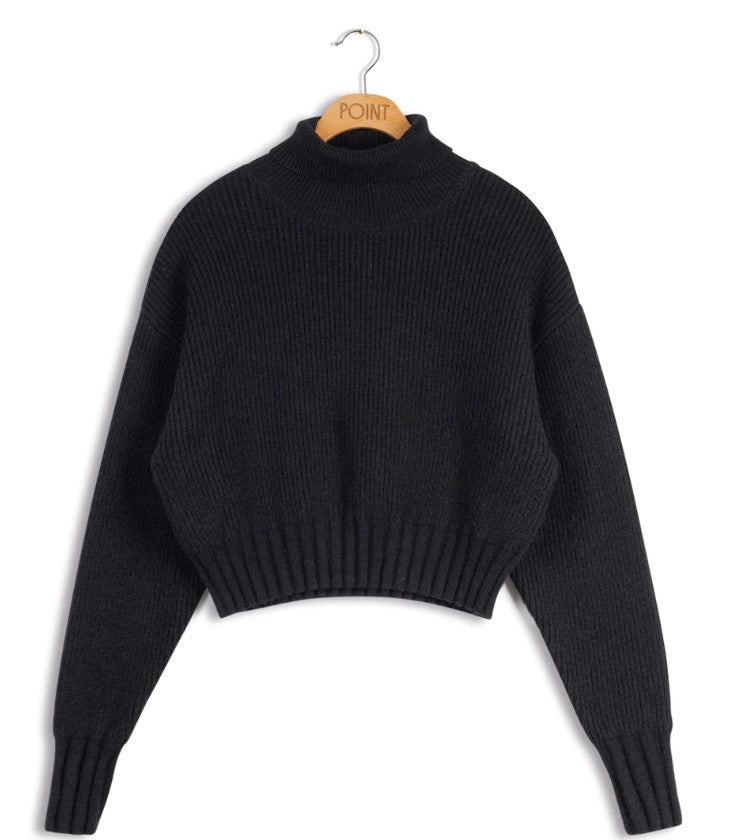 POINT CROP TURTLE NECK PULLOVER - Tops