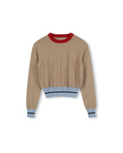Load image into Gallery viewer, J MULTI COLORED CROP LONG SLEEVE SWEATER
